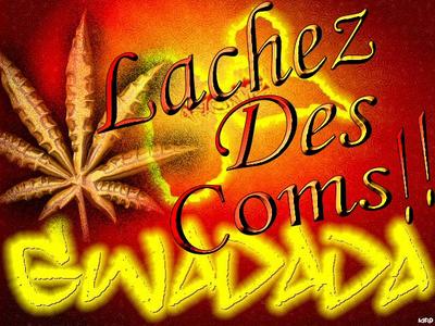 Lachez des com's !!!